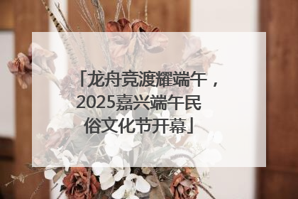 龙舟竞渡耀端午，2025嘉兴端午民俗文化节开幕