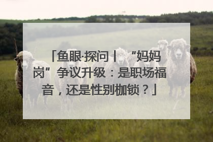 鱼眼·探问丨 “妈妈岗”争议升级：是职场福音，还是性别枷锁？