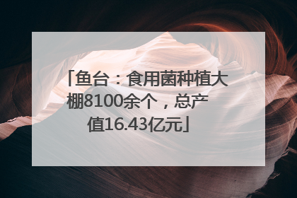 鱼台：食用菌种植大棚8100余个，总产值16.43亿元