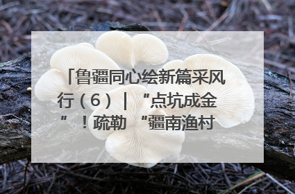 鲁疆同心绘新篇采风行（6）｜“点坑成金”！疏勒 “疆南渔村” 从废弃坑塘变身全国垂钓胜地