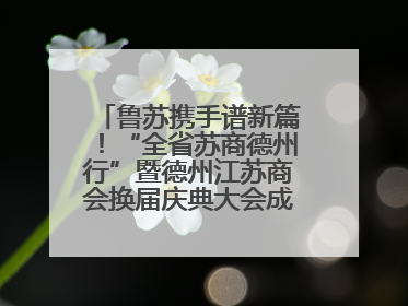 鲁苏携手谱新篇！“全省苏商德州行”暨德州江苏商会换届庆典大会成功举办
