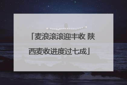 麦浪滚滚迎丰收 陕西麦收进度过七成