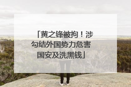 黄之锋被拘！涉勾结外国势力危害国安及洗黑钱