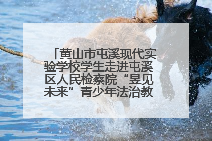黄山市屯溪现代实验学校学生走进屯溪区人民检察院“昱见未来”青少年法治教育宣传基地