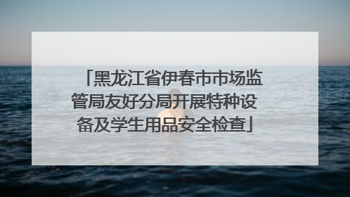 黑龙江省伊春市市场监管局友好分局开展特种设备及学生用品安全检查