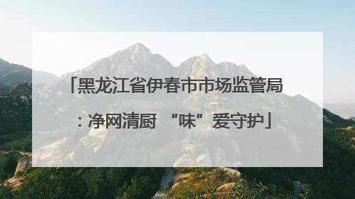 黑龙江省伊春市市场监管局：净网清厨 “味”爱守护