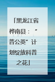 黑龙江省桦南县：“普公英”计划绽放科普之花