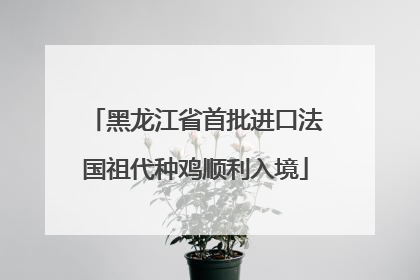 黑龙江省首批进口法国祖代种鸡顺利入境