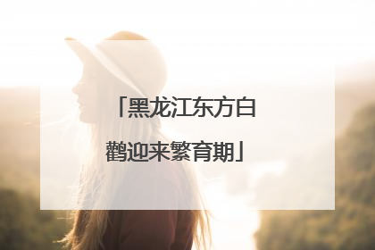 黑龙江东方白鹳迎来繁育期