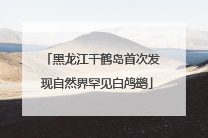 黑龙江千鹤岛首次发现自然界罕见白鸬鹚