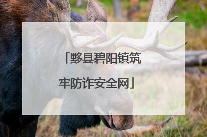 黟县碧阳镇筑牢防诈安全网