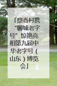 鼎香村携“聊城老字号”惊艳亮相第九届中华老字号（山东）博览会