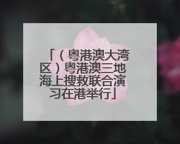 （粤港澳大湾区）粤港澳三地海上搜救联合演习在港举行
