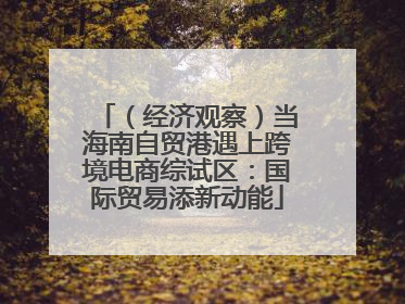（经济观察）当海南自贸港遇上跨境电商综试区：国际贸易添新动能