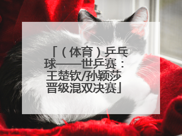 （体育）乒乓球——世乒赛：王楚钦/孙颖莎晋级混双决赛