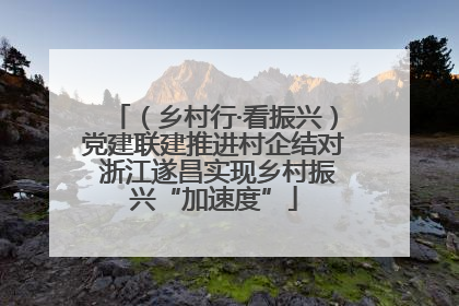 （乡村行·看振兴）党建联建推进村企结对 浙江遂昌实现乡村振兴“加速度”