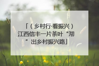 （乡村行·看振兴）江西信丰一片茶叶“沏”出乡村振兴路