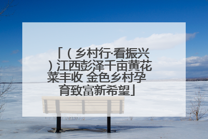 （乡村行·看振兴）江西彭泽千亩黄花菜丰收 金色乡村孕育致富新希望