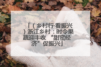 （乡村行·看振兴）浙江乡村：时令果蔬迎丰收 “甜蜜经济”促振兴