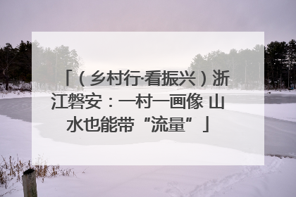 （乡村行·看振兴）浙江磐安：一村一画像 山水也能带“流量”