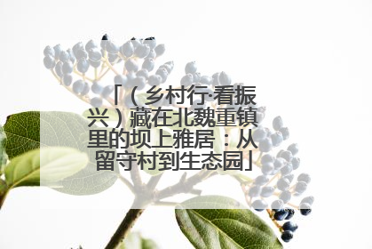 （乡村行·看振兴）藏在北魏重镇里的坝上雅居：从留守村到生态园