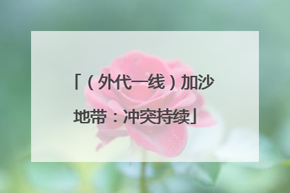 （外代一线）加沙地带：冲突持续