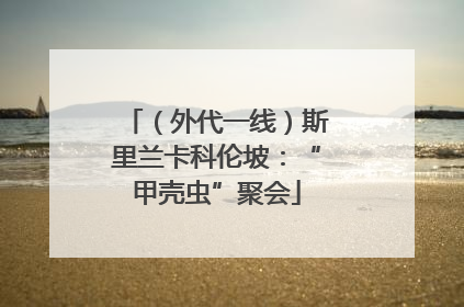 （外代一线）斯里兰卡科伦坡：“甲壳虫”聚会
