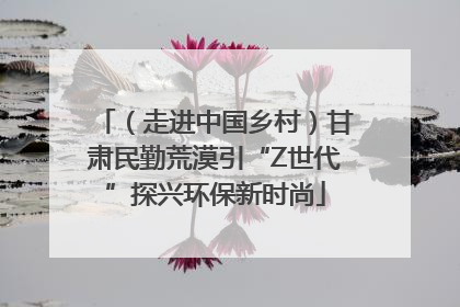 （走进中国乡村）甘肃民勤荒漠引“Z世代”探兴环保新时尚