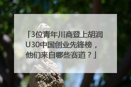 3位青年川商登上胡润U30中国创业先锋榜，他们来自哪些赛道？