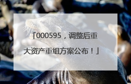 000595，调整后重大资产重组方案公布！