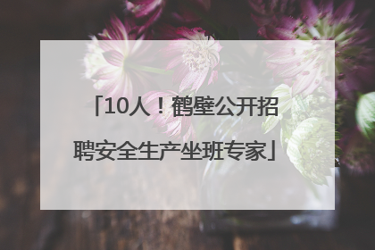10人！鹤壁公开招聘安全生产坐班专家