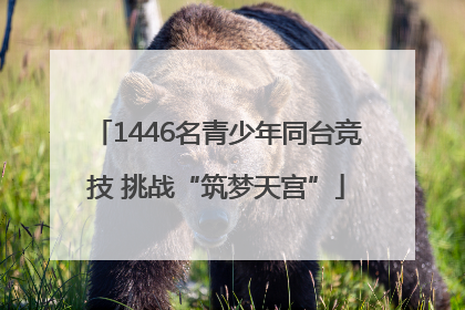 1446名青少年同台竞技 挑战“筑梦天宫”