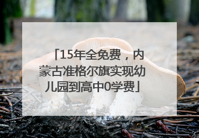 15年全免费，内蒙古准格尔旗实现幼儿园到高中0学费
