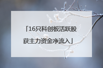 16只科创板活跃股获主力资金净流入