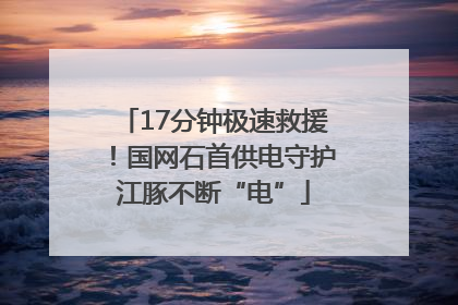 17分钟极速救援！国网石首供电守护江豚不断“电”