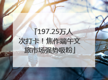197.25万人次打卡！焦作端午文旅市场强势吸粉
