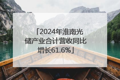 2024年淮南光储产业合计营收同比增长61.6%