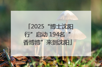 2025“博士沈阳行”启动 194名“香博博”来到沈阳