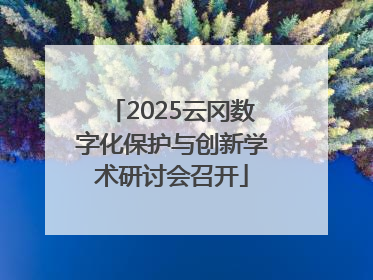 2025云冈数字化保护与创新学术研讨会召开