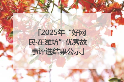 2025年“好网民·在潍坊”优秀故事评选结果公示