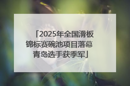 2025年全国滑板锦标赛碗池项目落幕 青岛选手获季军