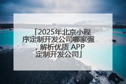 2025年北京小程序定制开发公司哪家强，解析优质 APP 定制开发公司