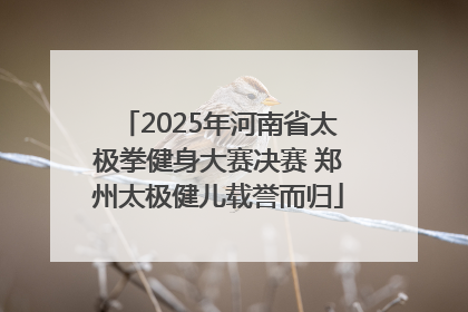 2025年河南省太极拳健身大赛决赛 郑州太极健儿载誉而归