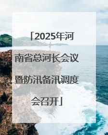 2025年河南省总河长会议暨防汛备汛调度会召开