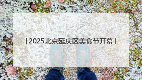 2025北京延庆区美食节开幕