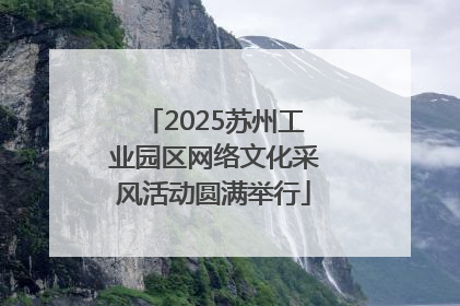 2025苏州工业园区网络文化采风活动圆满举行
