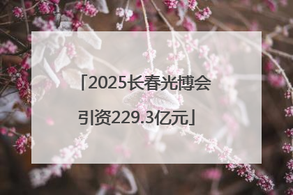 2025长春光博会引资229.3亿元