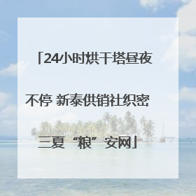 24小时烘干塔昼夜不停 新泰供销社织密三夏“粮”安网
