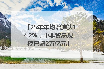 25年年均增速达14.2%，中非贸易规模已超2万亿元