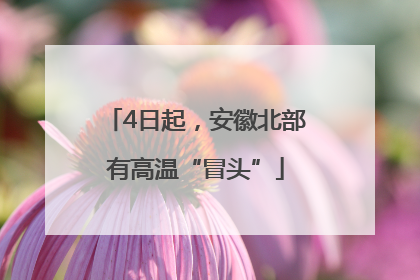 4日起，安徽北部有高温“冒头”